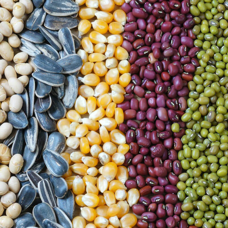 Avtomatski stroj za pakiranje semen